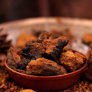 Chaga Mushroom Tincture โ Immunity, Antioxidants & Longevity Boost (50ml)