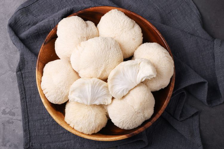 LION’S MANE – TRIPLE PACK (35% OFF)