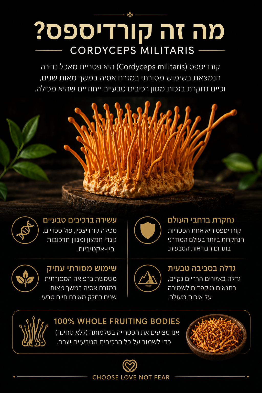 Premium Whole Dried Cordyceps Militaris Mushrooms (100g) | Fruiting Bodies | No Fillers | Vegan