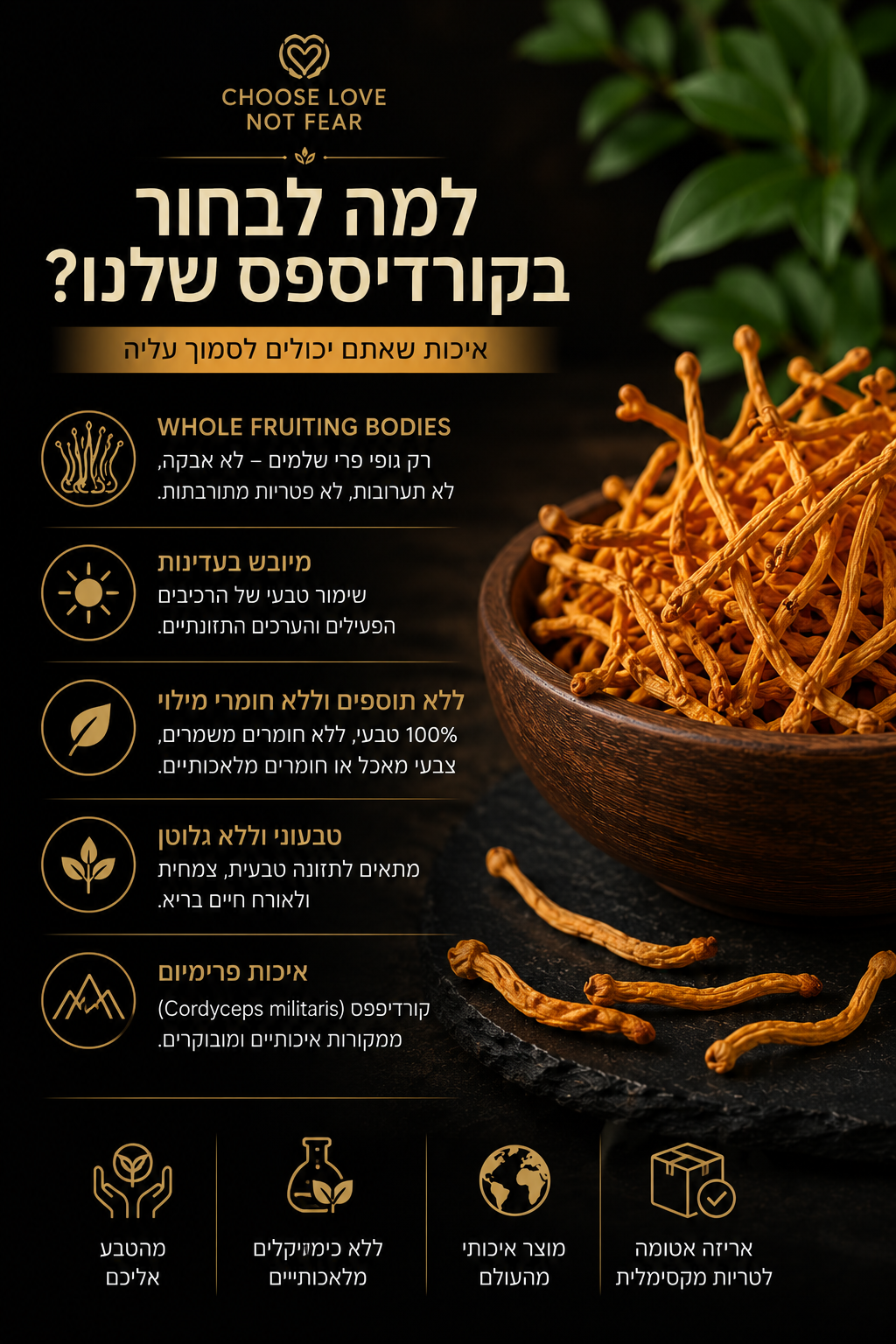 Premium Whole Dried Cordyceps Militaris Mushrooms (100g) | Fruiting Bodies | No Fillers | Vegan